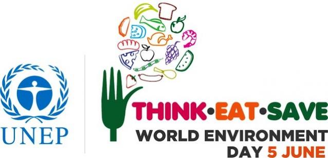  Światowy Dzień Środowiska - World Environment Day 2013
