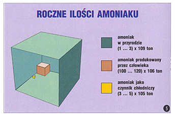 Roczne ilości amoniku