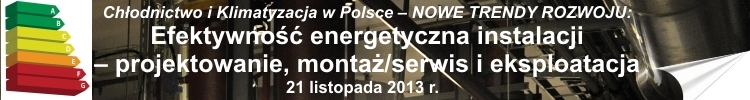 Chłodnictwo i Klimatyzacja w Polsce - Nowe Trendy Rozwoju 2013