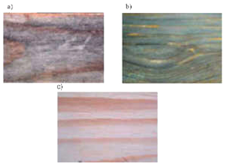 Rys. 1 Drewno (fot. autora): a) zawilgocone zaatakowane przez sinicę, b) zawilgocone zbutwiałe, c) wysuszone i przechowywane w optymalnych warunkach